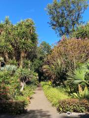 Jardin d'acclimatation de La Orotava