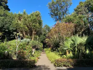 Jardin d'acclimatation de La Orotava