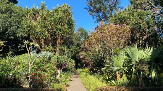 植物園