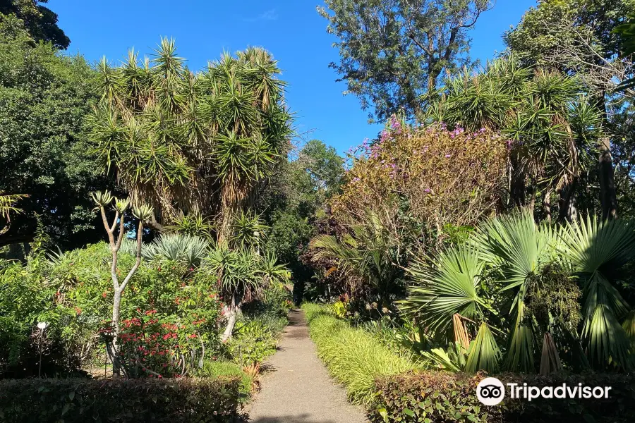 Botanical Gardens （Jardin Botanico）