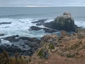 Playa Punta de Lobos