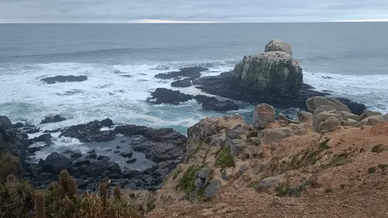 Punta De Lobos