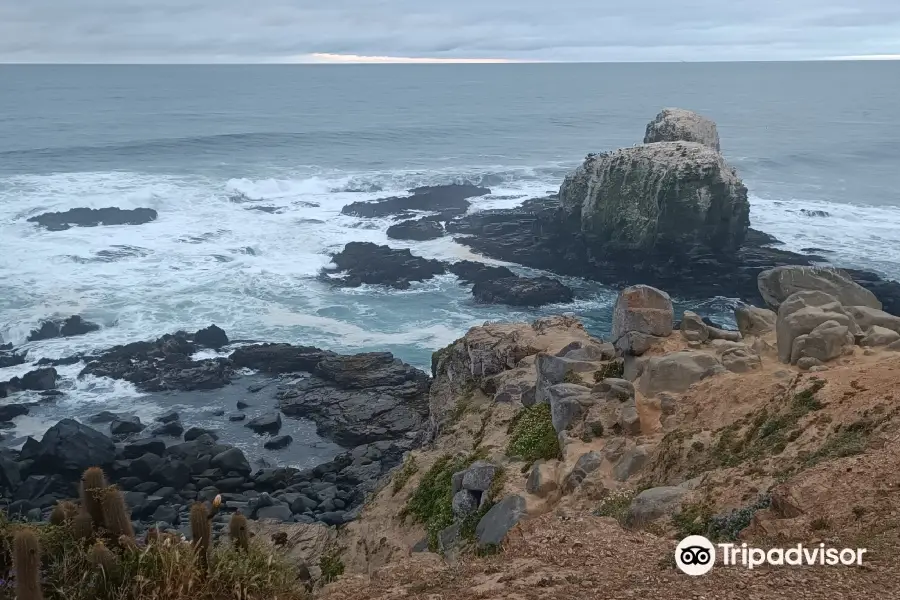 Playa Punta de Lobos