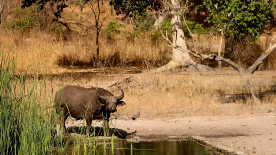 Fathala Reserve