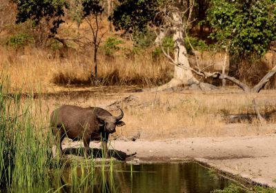 Fathala Reserve