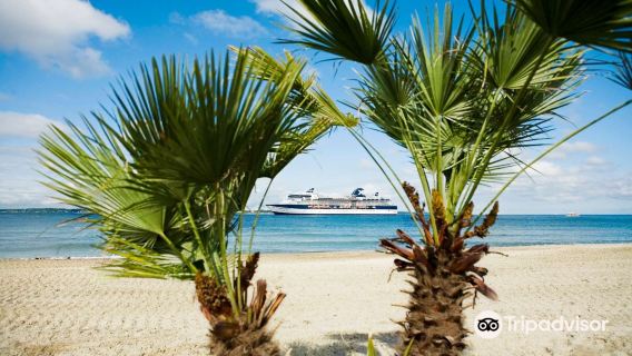 Tropical Beach