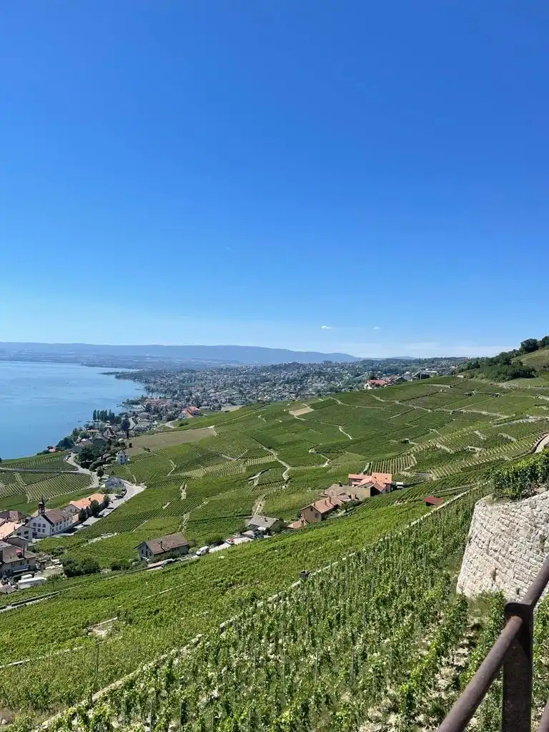 Hôtels à proximité de : Terres de Lavaux