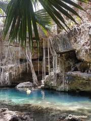Cenote X'batun