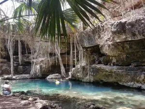 Cenote X'batun