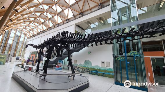 Herbert Art Gallery & Museum