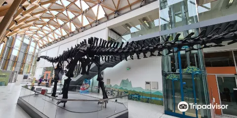 赫伯特藝術畫廊與博物館