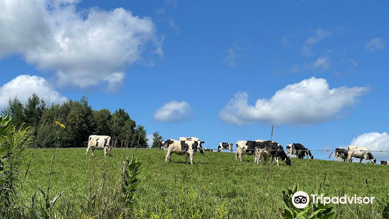 Fromagerie La Station