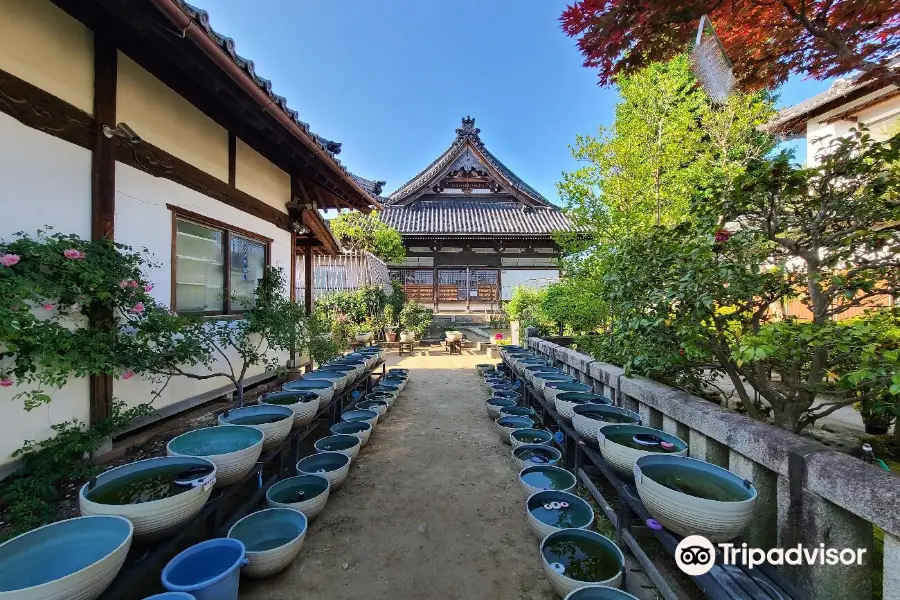 Ofusa Kannon Temple