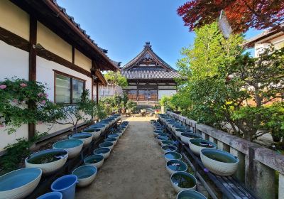 Kashihara