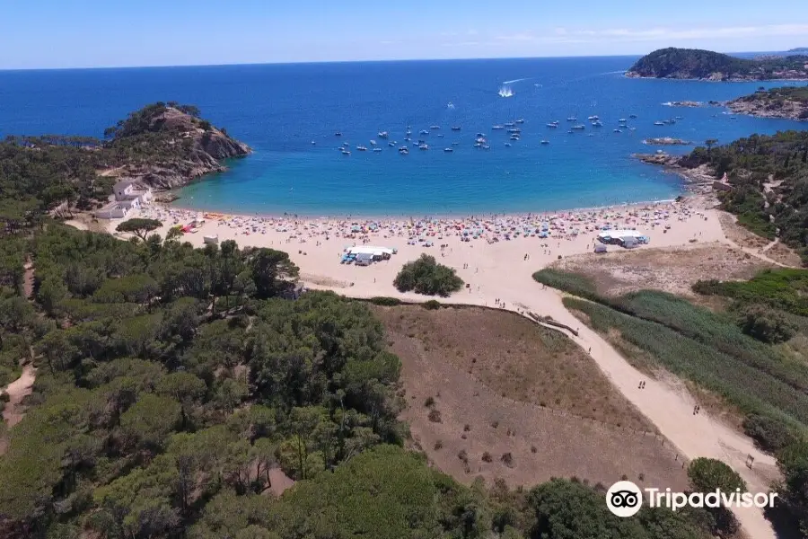 Platja de Castell