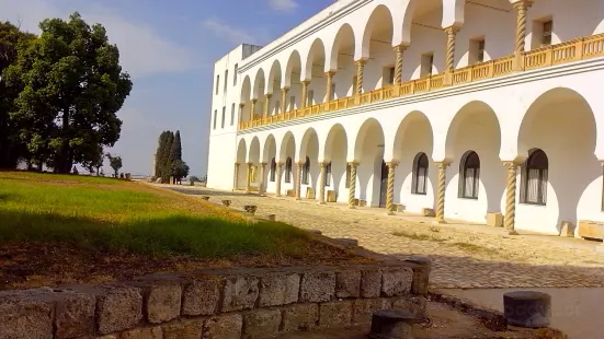 Carthage National Museum