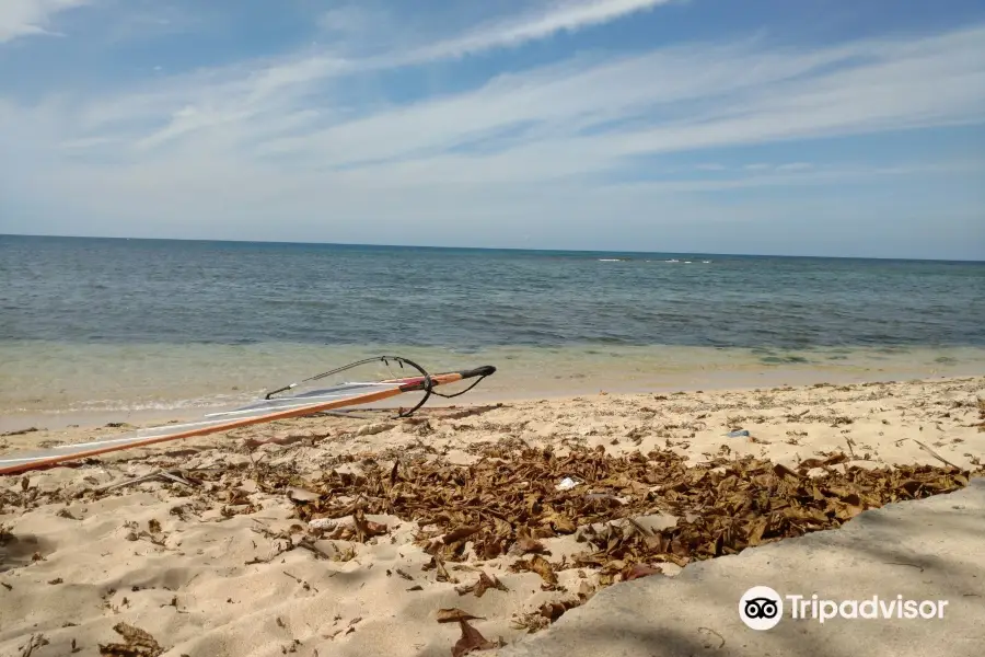 Havana Windsurf