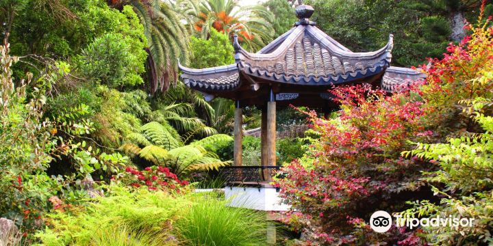 Queen's Gardens