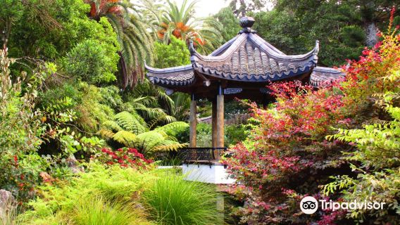 Queen's Gardens