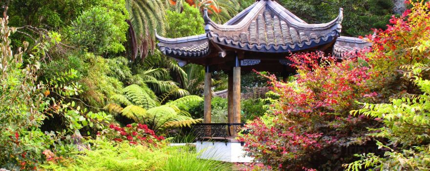 Queen's Gardens