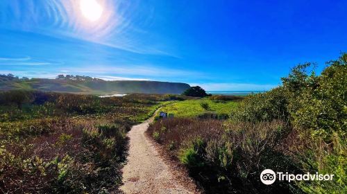 San Carpoforo Creek and Beach