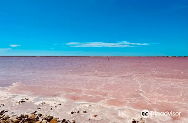 Salt Pan Observation mound