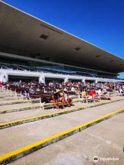 Arlington International Racecourse