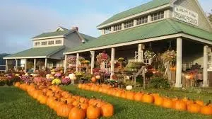 Harlow Farm Stand