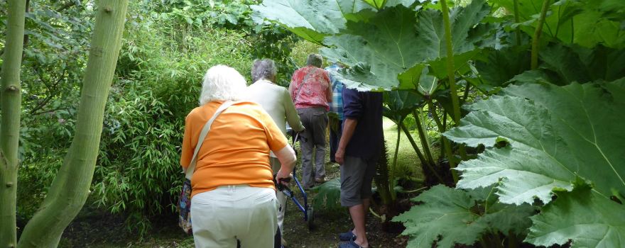 Hoecroft Plants and Gardens