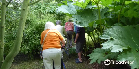 Hoecroft Plants and Gardens