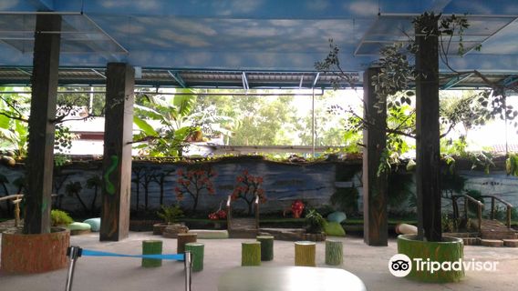 Teluk Sengat Crocodile Farm