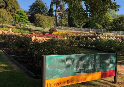University Rose Gardens