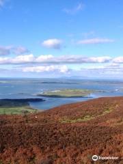 Knocknarea