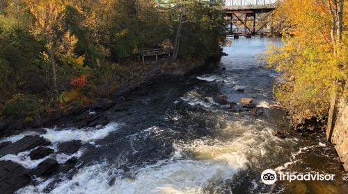 Bracebridge Falls