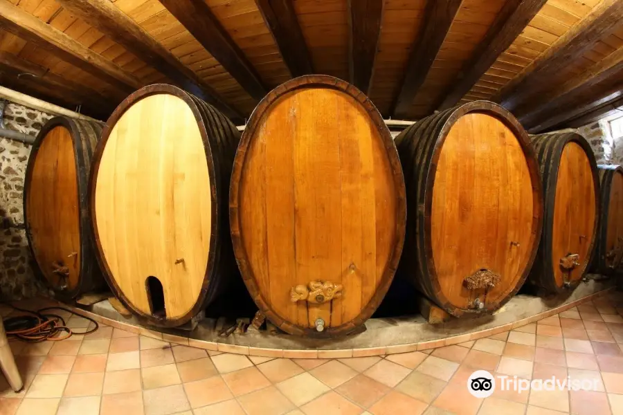 Domaine Joseph Gruss & Son (Fine Wines of Alsace)