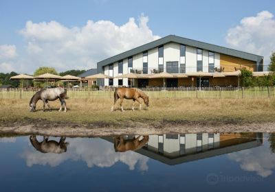 Hullie Speelboerderij