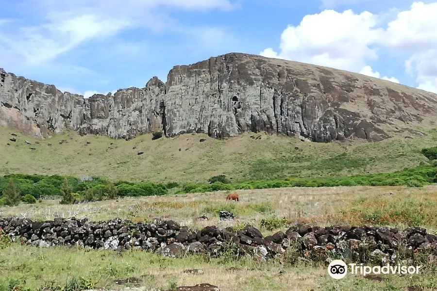 Buceo Isla de Pascua