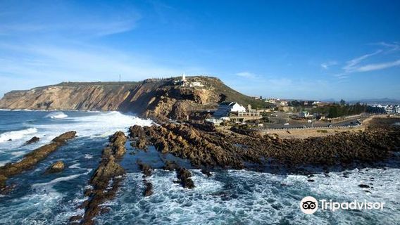 Point of Human Origins