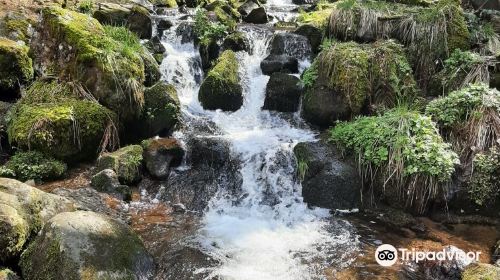 Cascade de la Serva