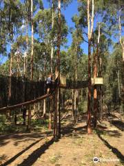 Kinglake Forest Adventures Camp