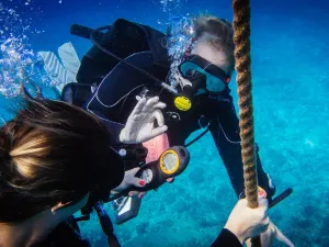Hawaii Diving Experience