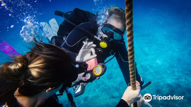 Hawaii Diving Experience