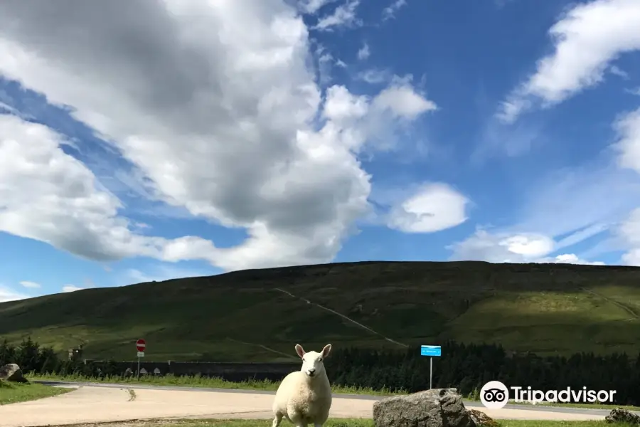 MTB CycleYorkshire