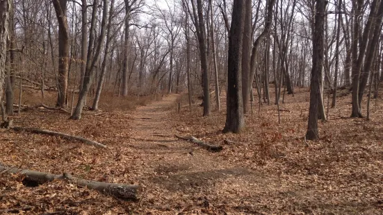 Brinton Brook Sanctuary