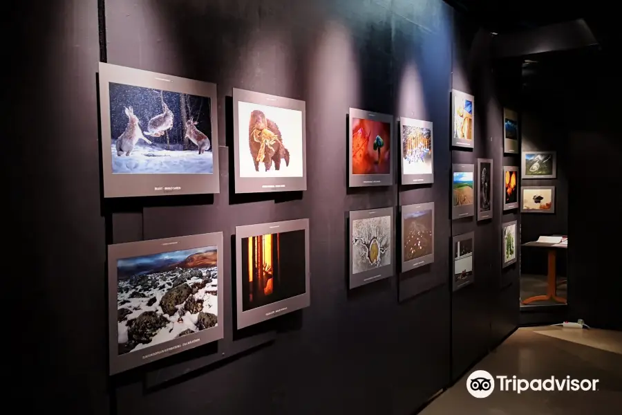 Musée de la nature de Finlande centrale