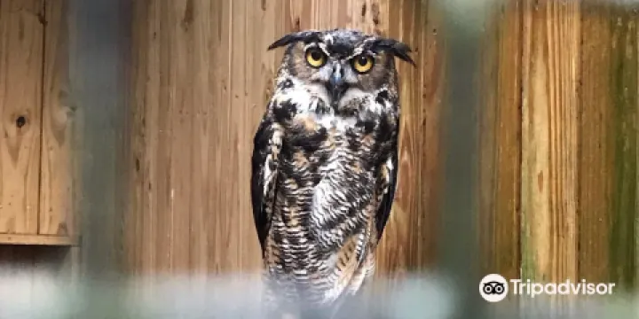 Environmental Studies Center