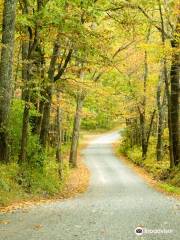 Sleepy Creek Wildlife Management Area