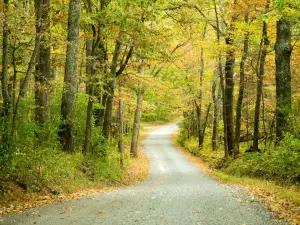 Sleepy Creek Wildlife Management Area