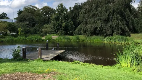 Ronneby travel destination