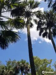 Juniper Springs Recreation Area